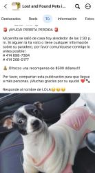 Lost Female Dog last seen Milwaukee wisconsin, Milwaukee, WI 53216