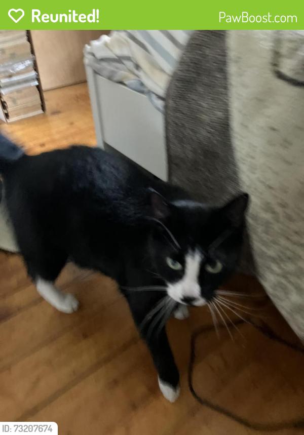 Reunited Male Cat last seen Corner of Lawrence and Nicoll, East Rock, New Haven CT, New Haven, CT 06511