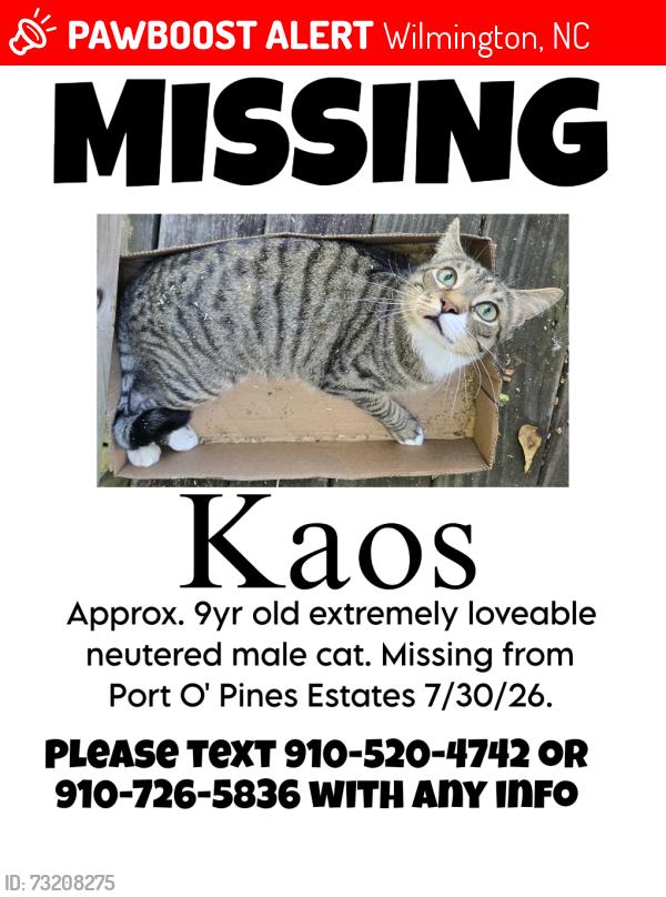 Lost Male Cat last seen Port O' Pines ests, Wilmington, NC 28405