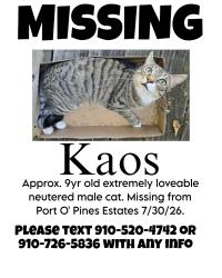 Lost Male Cat last seen Port O' Pines ests, Wilmington, NC 28405