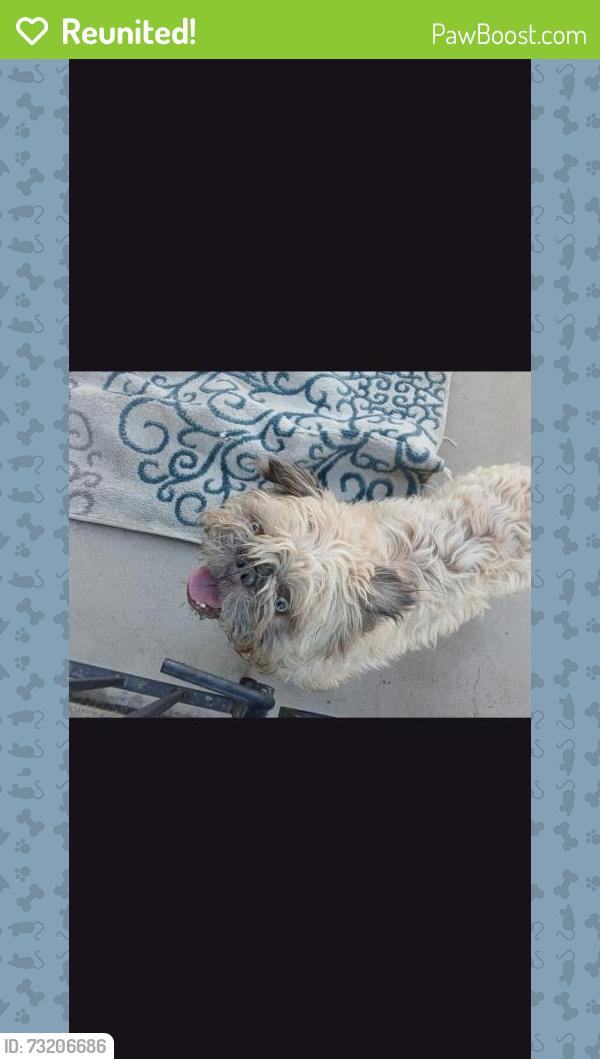 Reunited Male Dog last seen Las Vegas, NV 89102, USA, Las Vegas, NV 89102