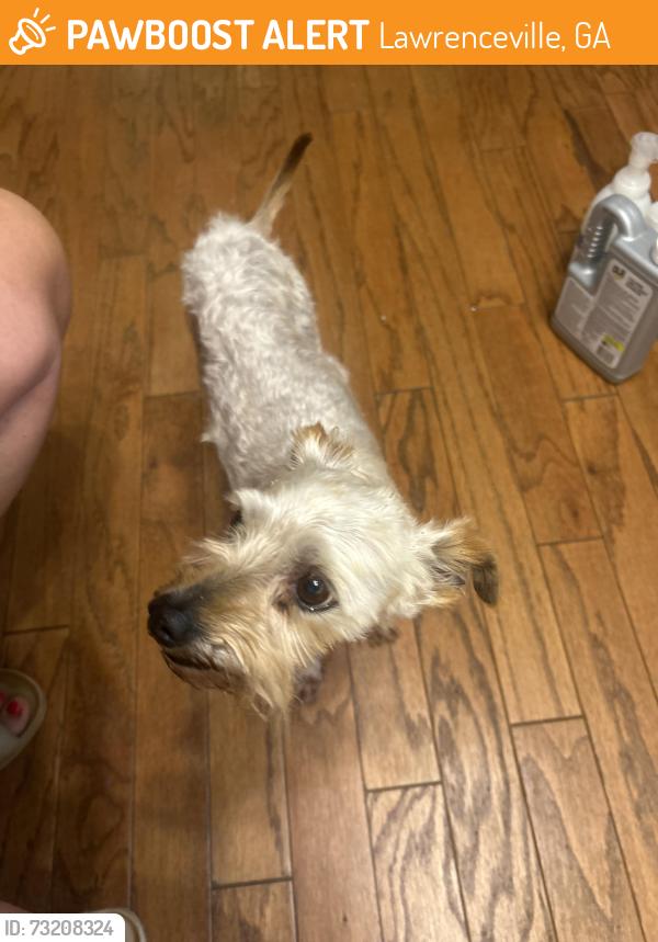 Found/Stray Male Dog last seen Sir knights way, Lawrenceville, GA 30045
