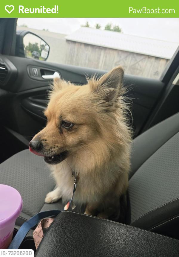 Reunited Male Dog last seen Near Churchill Rd, Wyndmoor, PA 19038