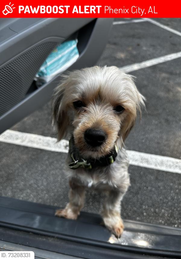 Lost Male Dog last seen Near s seale rd Phenix city Al 36869, Phenix City, AL 36869