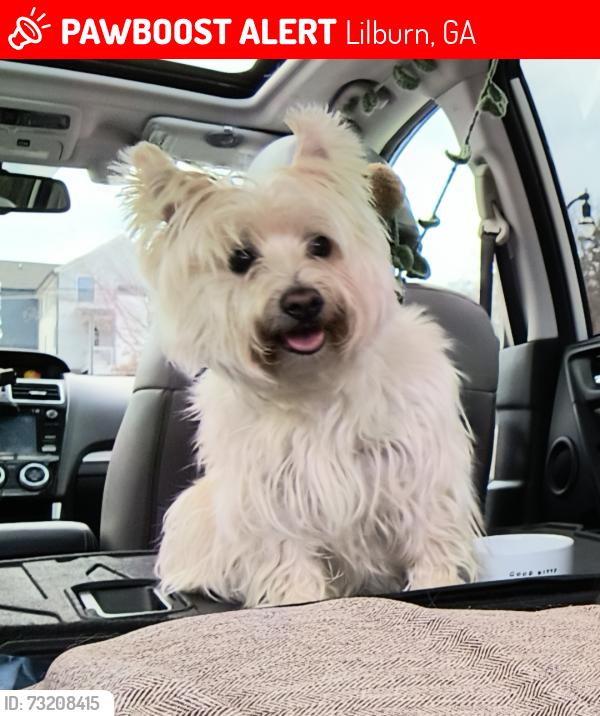Lost Female Dog last seen Huntington way, Lilburn off of Burns Rd, Lilburn, GA 30047