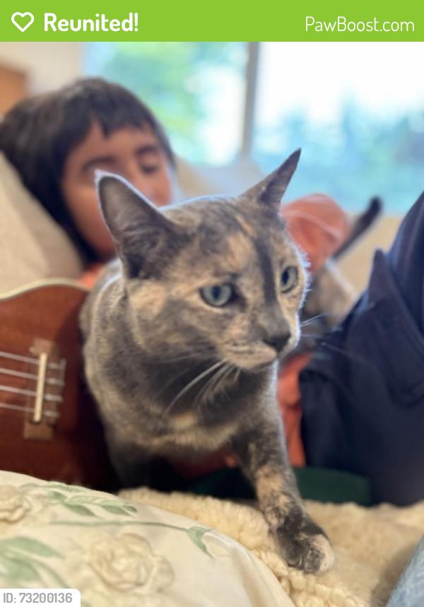 Reunited Female Cat last seen Lynch road and Pleasant hill road, Sebastopol, CA 95472