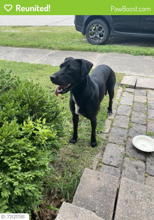 Reunited Unknown Dog last seen Third Ave & Haub St 47639, Haubstadt, IN 47639