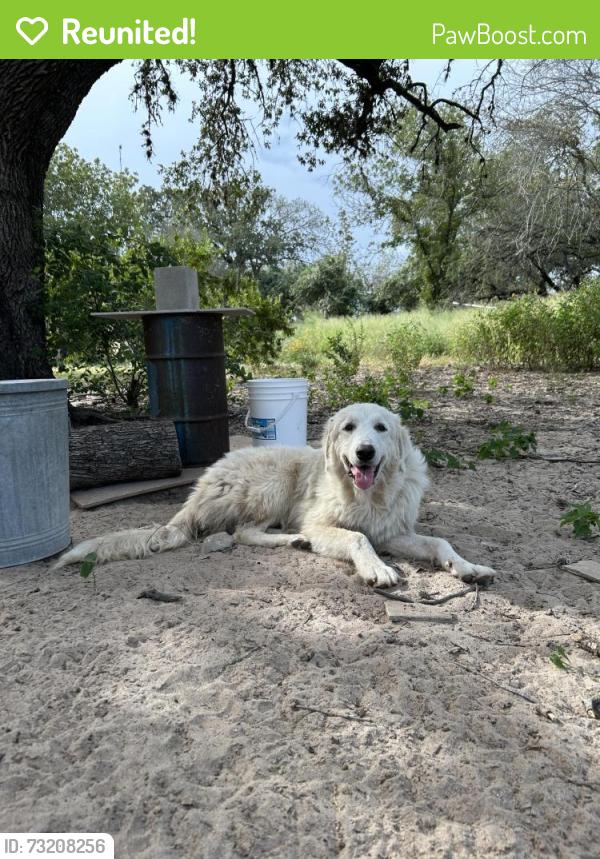 Reunited Male Dog last seen Mathis Rd & 37, San Antonio, TX 78264