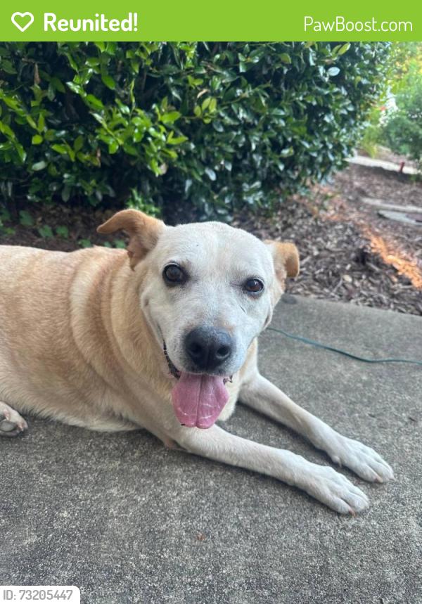 Reunited Female Dog last seen Hope Valley fire department, Durham, NC 27701