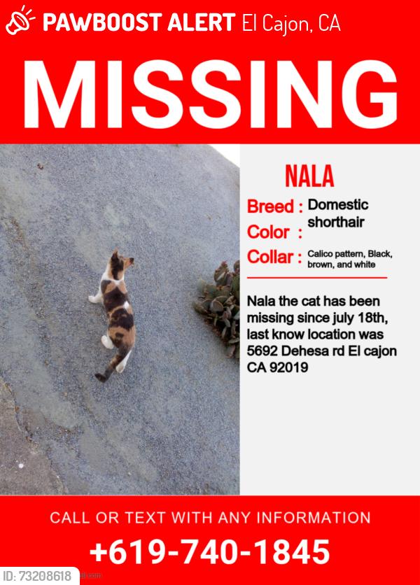 Lost Female Cat last seen Dehesa Rd, Riggs Rd, El Cajon, CA 92019