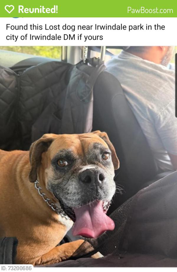 Reunited Female Dog last seen Irwindale park, Irwindale, CA 91722