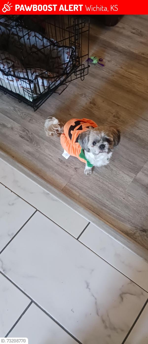 Lost Female Dog last seen Harrison Park area, Wichita, KS 67207