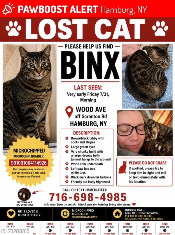 Lost Male Cat last seen Off of Scranton Rd not far from Hamburg Radiator & Auto, Hamburg, NY 14075