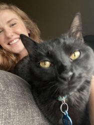 Lost Male Cat last seen Cross Street: Filbert Ave & Moss Ave, Chico, CA 95926