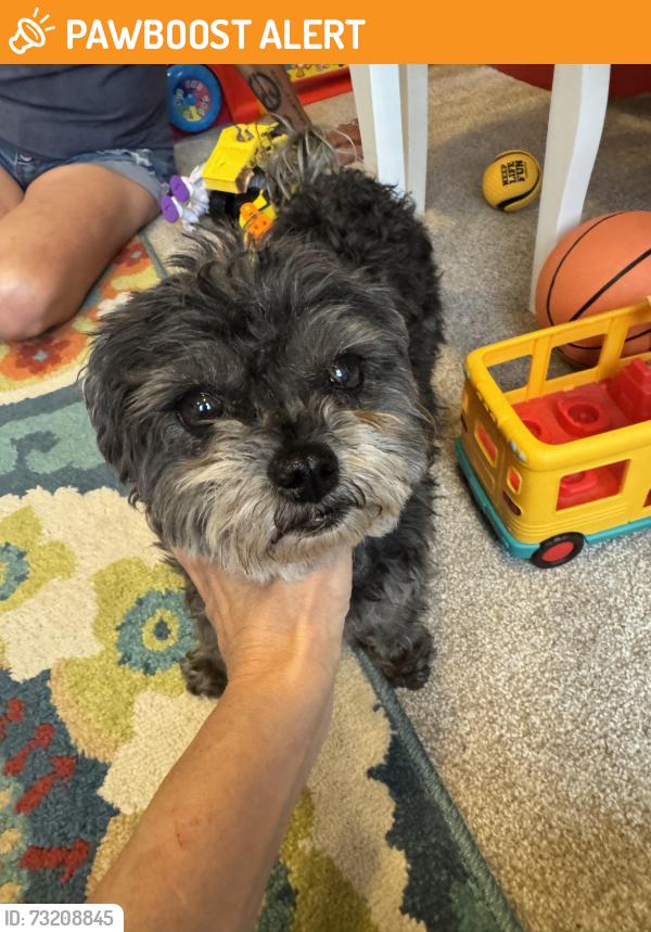 Found/Stray Unknown Dog last seen Broadway/ highlands ranch parkway, Highlands Ranch, CO 80126