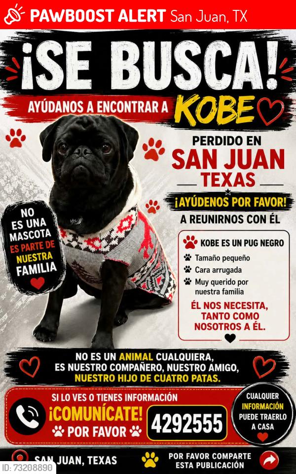 Lost Male Dog last seen Inca De. and Minnesota Rd., San Juan, TX 78589