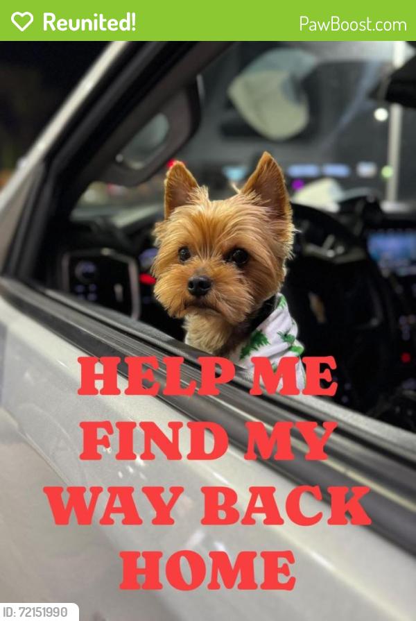 Reunited Male Dog last seen Emmett hutto boulevard, Baytown, TX 77521
