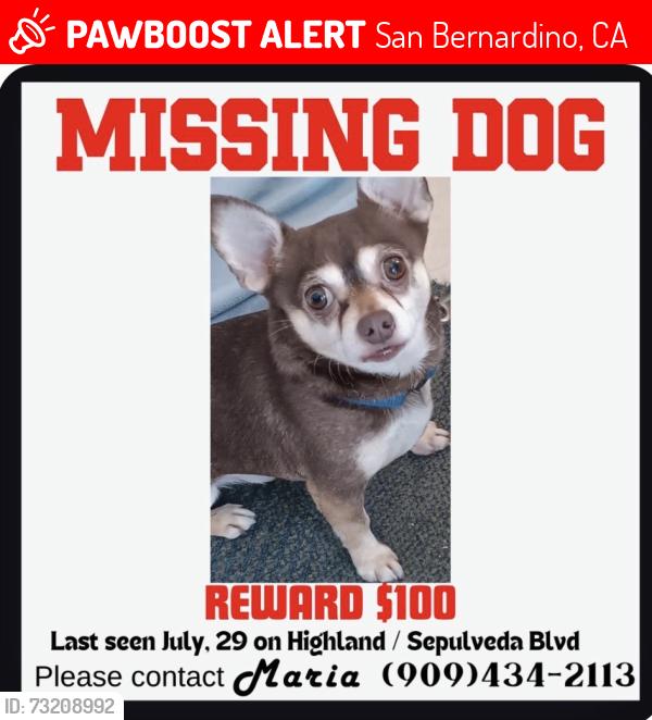 Lost Male Dog last seen Supulvida and Highland, San Bernardino, CA 92404
