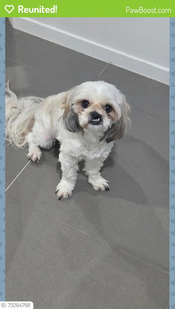 Reunited Female Dog last seen Alfredrose Crescent, Collingwood Park, QLD 4301
