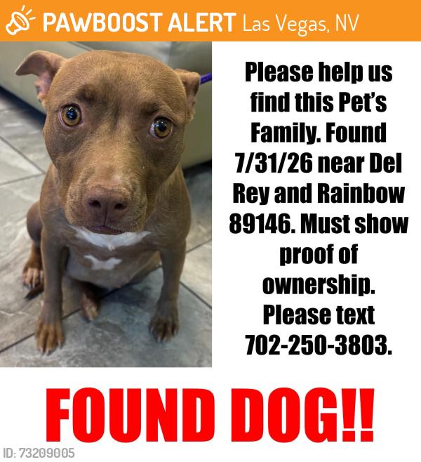 Found/Stray Unknown Dog last seen Dey Rey & Rainbow, Las Vegas, NV 89146