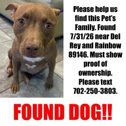 Found/Stray Unknown Dog last seen Dey Rey & Rainbow, Las Vegas, NV 89146