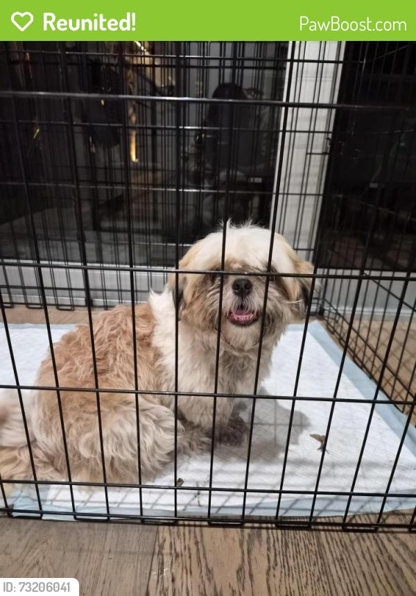 Reunited Female Dog last seen Bayview Dr & NE 26th St, Fort Lauderdale, FL 33306