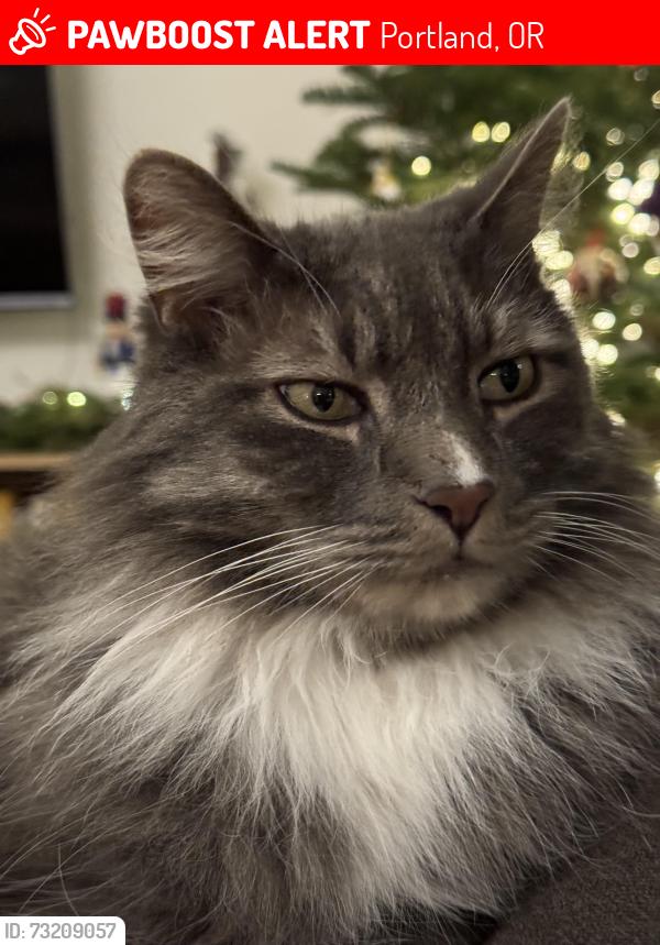 Lost Male Cat last seen Near NW Rosefinch Ln 97229, Portland, OR 97229