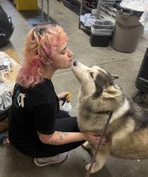 Shelter Stray Female Dog last seen Near Arey Drive, San Diego, CA, 92154, 5500 Gaines St, San Diego, CA 92110, USA