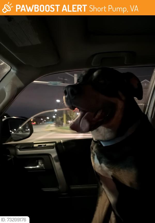 Found/Stray Male Dog last seen Lauderdale Dr and Church Road, Short Pump, VA 23233