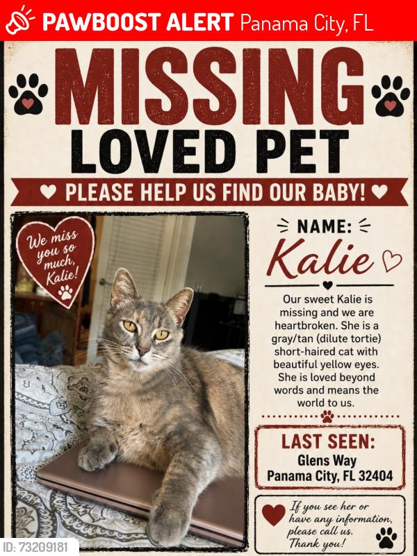 Lost Female Cat last seen Titus Rd, Panama City, FL 32404
