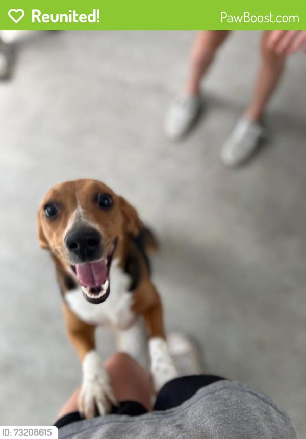 Reunited Female Dog last seen Blackdog Club, Smithfield, NC 27577
