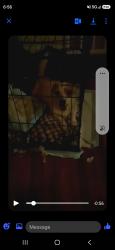 Lost Female Dog last seen Stearman and Dunham, Wichita, KS 67210