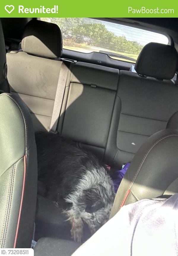 Reunited Female Dog last seen County Rd 526 and 525, Mansfield, TX 76063