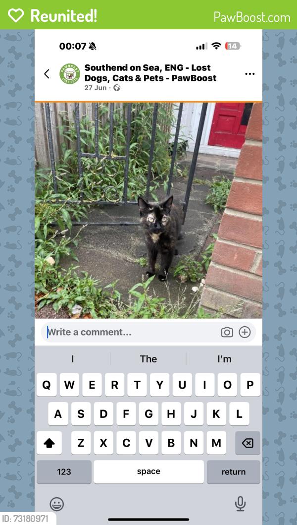 Reunited Female Cat last seen Chalkwell park, Southend-on-Sea, England 