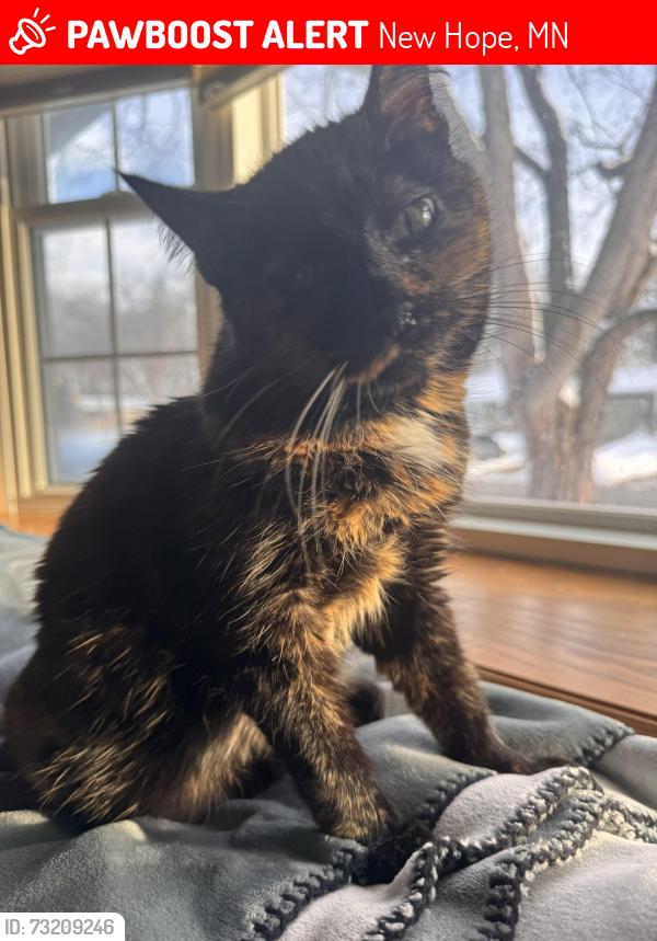 Lost Female Cat last seen Boone and 32nd place N, New Hope, MN 55427
