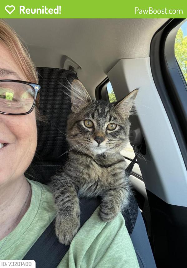 Reunited Male Cat last seen Se 168th ave, Vancouver, WA 98683