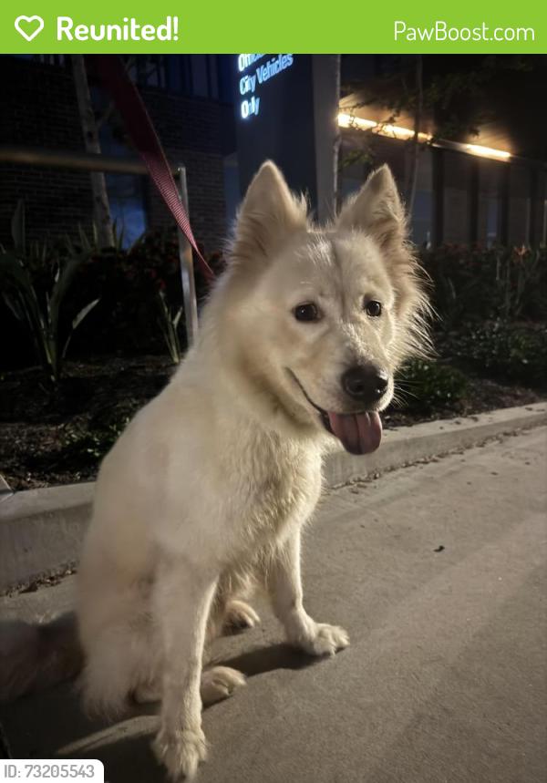 Reunited Female Dog last seen Bushard St & Cardinal Ave, Westminster, CA 92683