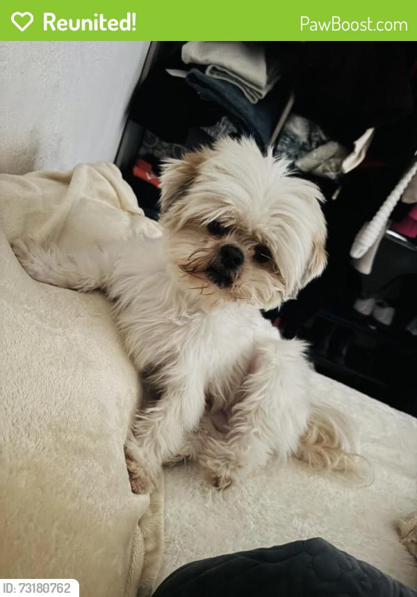Reunited Male Dog last seen Near Stonebridge Blvd., Edmond, OK 73013