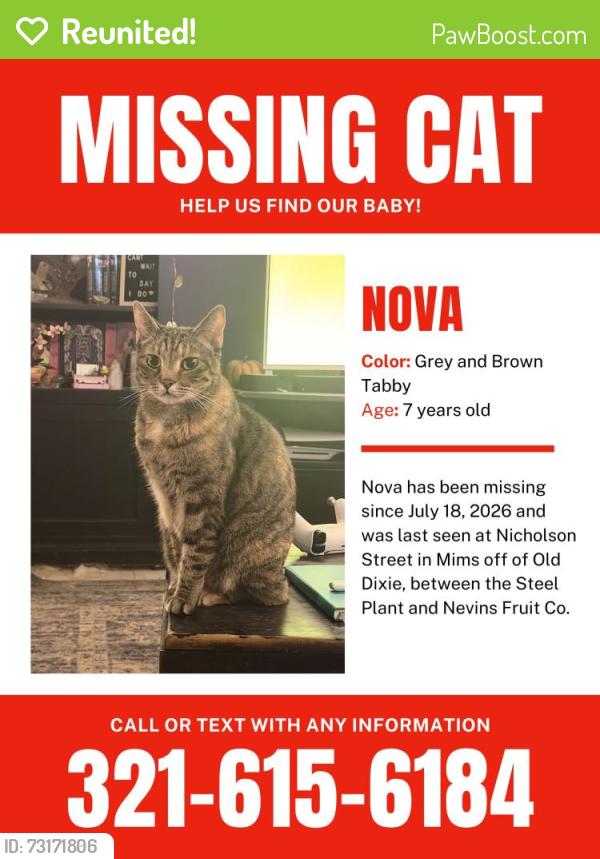 Reunited Female Cat last seen Steel plant and Nevins packing, Mims, FL 32796