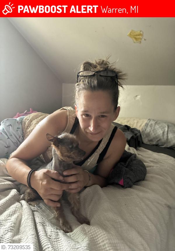 Lost Male Dog last seen Paige and van dyke, Warren, MI 48089
