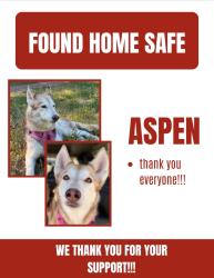 Reunited Unknown Dog last seen 13th and Emproia st, Aurora, CO 80010