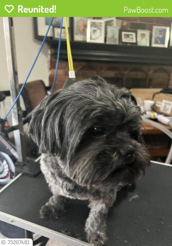 Reunited Female Dog last seen Grand and Jurupa, Riverside, CA 92504