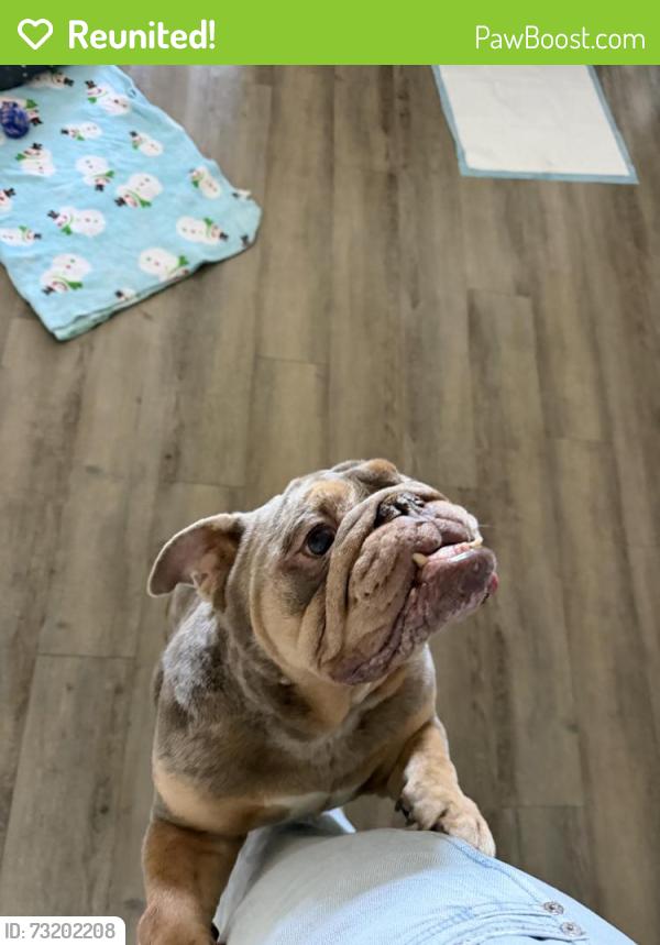 Reunited Male Dog last seen Los Arbolitos and Pala Rd Oceanside, Oceanside, CA 92058