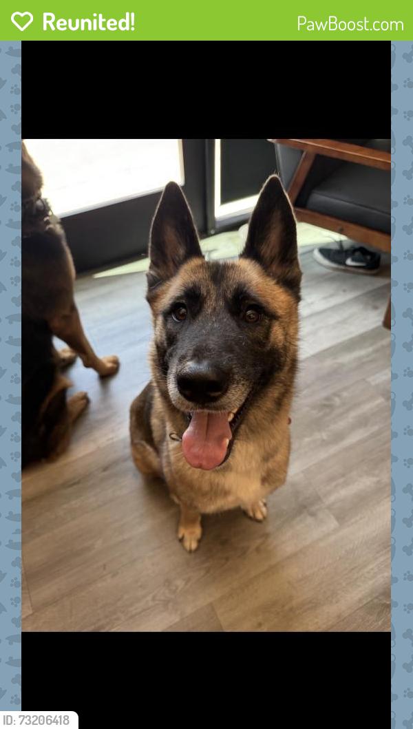 Reunited Female Dog last seen E Elizabeth St, Pasadena, CA 91104