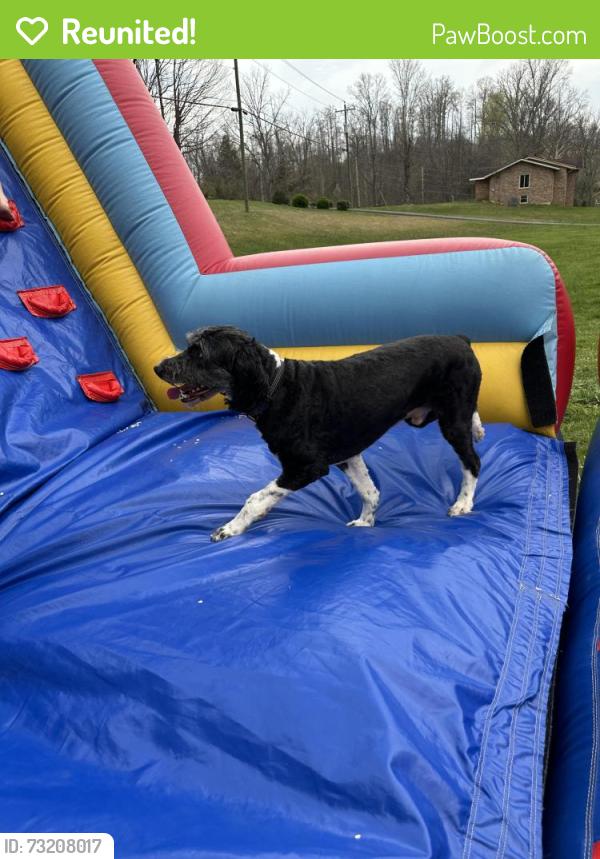 Reunited Male Dog last seen Last seen crossing TN 139, Dandridge, TN 37725