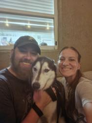 Reunited Male Dog last seen Near Orange Ave, St. Cloud, FL 34769