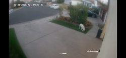 Found/Stray Unknown Dog last seen End of cul-de-sac, San Diego, CA 92114