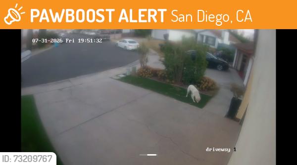 Found/Stray Unknown Dog last seen End of cul-de-sac, San Diego, CA 92114