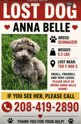 Lost Female Dog last seen Near east 900 south, Salt Lake City, UT 84105