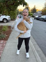 Reunited Male Cat last seen Hill Ave, San Carlos, CA 94070